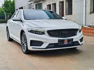 2021 Geely Xing Rui 2.0TD Luxury, фото 3, лот 10359884
