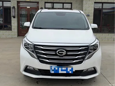 2018 GAC Trumpchi Trumpchi M8 320T Premium Edition, фото 3, лот 11206715