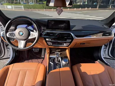 2019 BMW 5 Series 530Li Premium M Sport Package, фото 4, лот 10615589