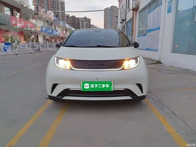 2021 BYD Dolphin Model 405km Fashion Edition, фото 3, лот 10263710