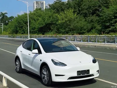 2022 Tesla Model Y Rear-Wheel Drive Version, фото 1, лот 10454916