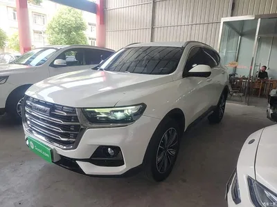 2023 Haval H6 National Trend Edition 1.5T Automatic Champion, фото 2, лот 10286774