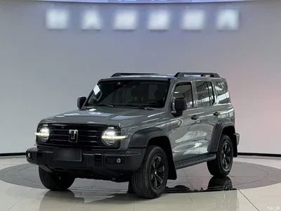 2023 Tank 300 Off-Road Edition 2.0T Challenger, фото 2, лот 10345498