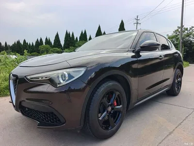2017 Alfa Romeo Stelvio 2.0T 200HP Elite, фото 2, лот 10239852
