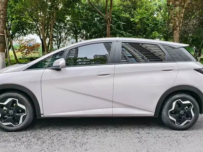 2021 BYD Dolphin Model 405km Fashion Edition, фото 3, лот 10257735
