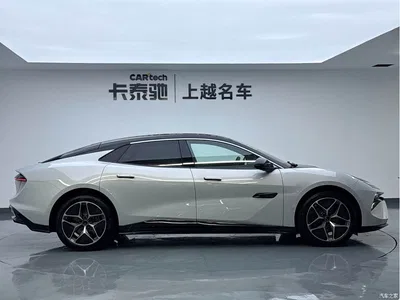 2025 Lotus Cars EMEYA Blossom 600 Wagon, фото 4, лот 11155360
