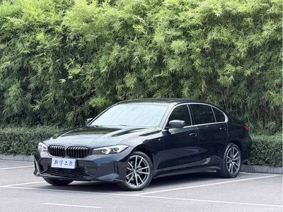 2024 BMW 3 Series 320Li M Sport Package, фото 1, лот 11216610