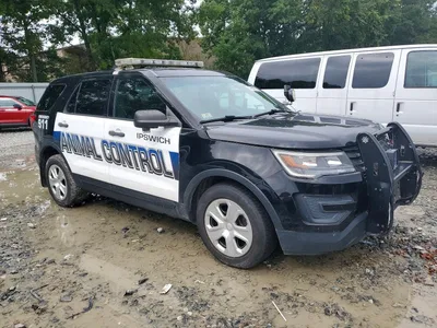 2017 FORD EXPLORER POLICE INTERCEPTOR, фото 4, лот 10511937