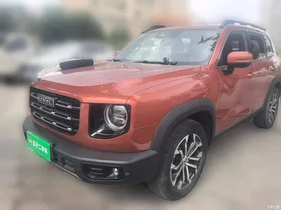 2021 Haval Big Dog 1.5T DCT 2WD Border Collie Edition, фото 2, лот 11182612