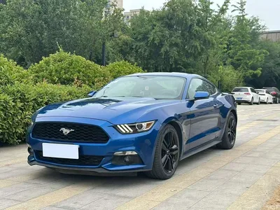 2017 Ford Mustang 2.3T Sport Edition, фото 1, лот 10279641