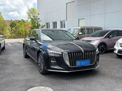2025 Hongqi H5 2.0T Automatic Flag Celebration 500,000 Units Anniversary Edition, фото 3, лот 10304142