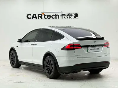 2019 Tesla Model X Long Range Version, фото 4, лот 10405635