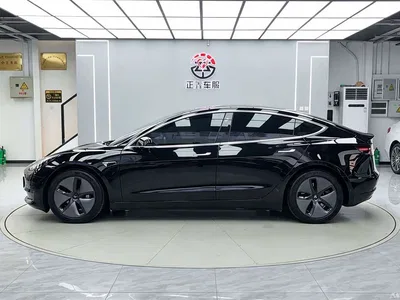 2020 Tesla Model 3 Facelift Standard Range RWD Upgrade, фото 4, лот 10362688