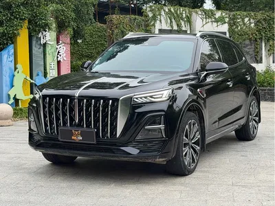 2023 Hongqi HS5 2.0T AWD Flag Enjoy Pro Edition, фото 1, лот 11567631
