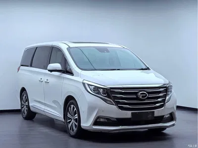 2018 GAC Trumpchi Trumpchi M8 320T Flagship Edition, фото 2, лот 10393690