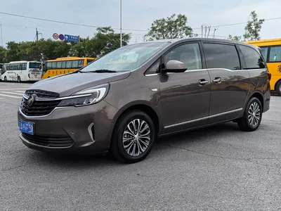 2021 Buick GL8 Land Business Class 652T Luxury, фото 1, лот 10252577