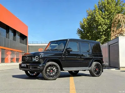 2019 Mercedes-Benz G-Class G 500, фото 1, лот 10255813
