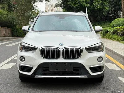 2019 BMW X1 sDrive18Li Premium Model, фото 2, лот 10464626
