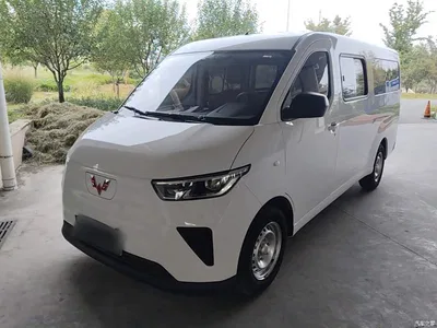 2024 Wuling Motors Wuling Yangguang 300KM Comfort Bus Version 75kW, фото 2, лот 11201489