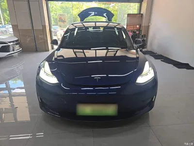 2020 Tesla Model 3 Facelift Long Range Rear-Wheel Drive, фото 3, лот 10370457