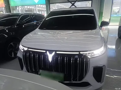2024 Voyah Auto Voyah Dreamer PHEV Extended Range Flagship Edition, фото 3, лот 10358004