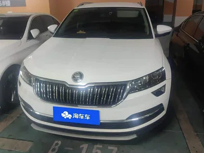 2020 Škoda Karoq TSI280 Smart Tech Edition China VI, фото 2, лот 10349054