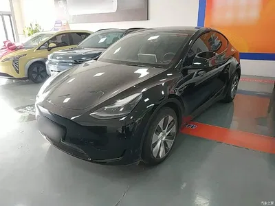 2022 Tesla Model Y Facelift Rear-Wheel Drive Version, фото 1, лот 10370097