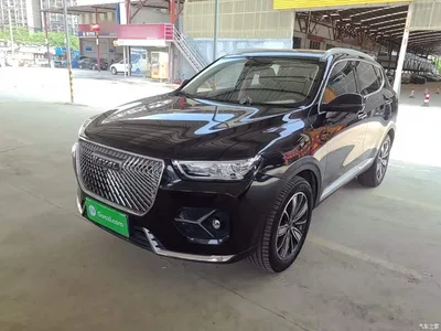2021 Haval H6 2.0GDIT Automatic Champion Edition, фото 2, лот 10286036