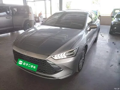 2023 BYD Qin PLUS Champion Edition DM-i 120KM Surpassing Type, фото 1, лот 10362751