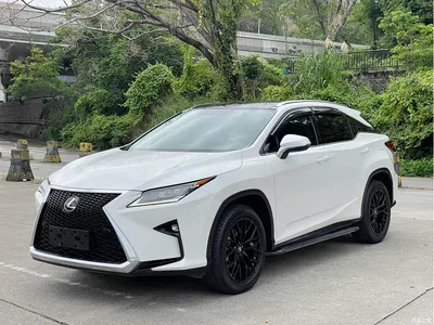 2016 Lexus RX 300 4WD Elegance Edition (China V), фото 1, лот 10314252