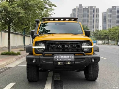 2022 Tank 300 2.0T Border Limited Edition, фото 2, лот 10344155
