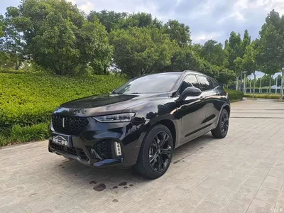 2017 WEY VV7 2.0T Flagship, фото 3, лот 10435007