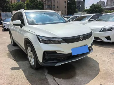 2021 Skyworth Auto Skyworth EV6 520 Creation Edition, фото 3, лот 10829765