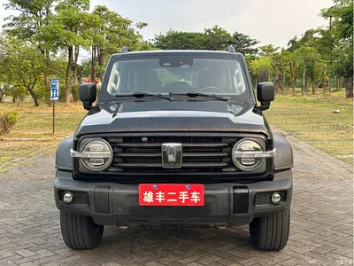 2023 Tank 300 Off-Road Edition 2.0T Challenger, фото 2, лот 11140623