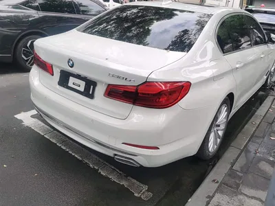 2020 BMW 5 Series New Energy 530Le Range Upgrade Pioneer Edition, фото 3, лот 10474363