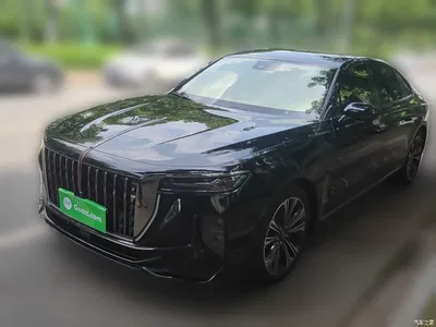 2024 Hongqi H9 2.0T Qi Enjoy Private Fashion Edition, фото 1, лот 11219390