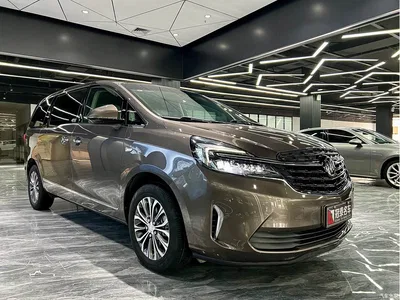 2022 Buick GL8 Land Business Class 652T Luxury, фото 3, лот 10250698