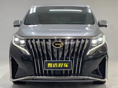 2021 GAC Trumpchi Trumpchi M8 Master Series 390T 4-Seat Premium Edition, фото 2, лот 10419947