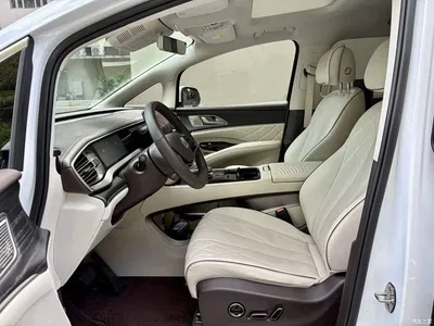2024 Denza D9 DM-i 980 AWD Prestige, фото 4, лот 11179087