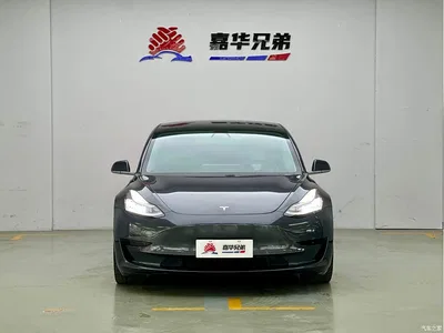 2020 Tesla Model 3 Standard Range Rear-Wheel Drive Upgrade, фото 3, лот 11189765