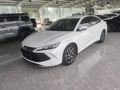 2024 BYD Qin L DM-i 80KM Superior, фото 1, лот 11221863