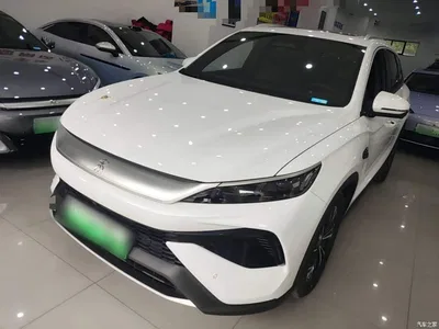 2025 BYD Song Pro New Energy 2nd Generation Smart Drive Edition DM-i 115KM Surpassing Type, фото 2, лот 10276822