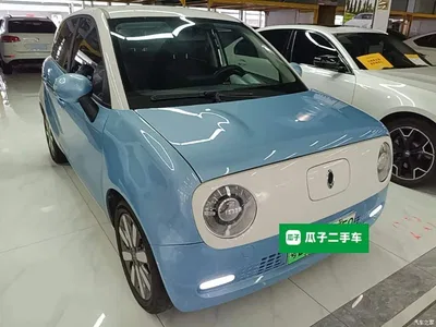 2021 Ora Black Cat 351km Standard Model, фото 4, лот 10330731