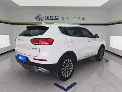 2020 Haval H6 1.5GDIT Automatic Platinum Champion Edition, фото 3, лот 10306912