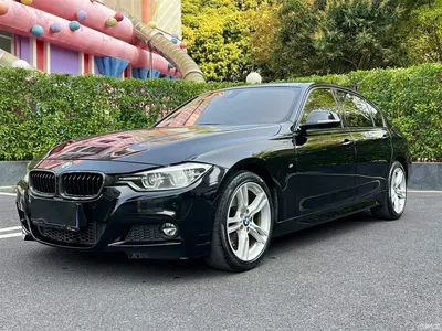 2017 BMW 3 Series 320Li M Sport, фото 1, лот 10458223