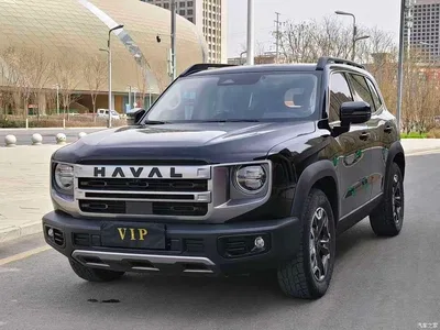 2024 Haval Big Dog 2.0T DCT Chinese Rural Dog Edition, фото 1, лот 10361749