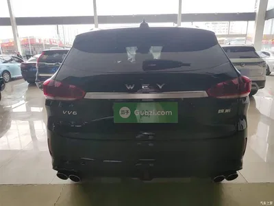2020 WEY VV6 2.0T 2WD Smart Protection+, фото 4, лот 10452477
