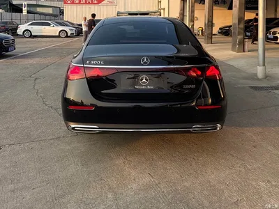 2025 Mercedes-Benz E-Class E 300 L Luxury, фото 4, лот 10448864