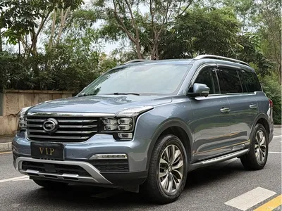 2017 GAC Trumpchi Trumpchi GS8 320T 2WD Luxury Smart Connect (7-seater), фото 3, лот 10524120