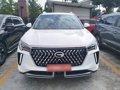 2022 GAC Trumpchi Trumpchi GS4 PLUS 270T Automatic Starry Sky Edition, фото 3, лот 10421948